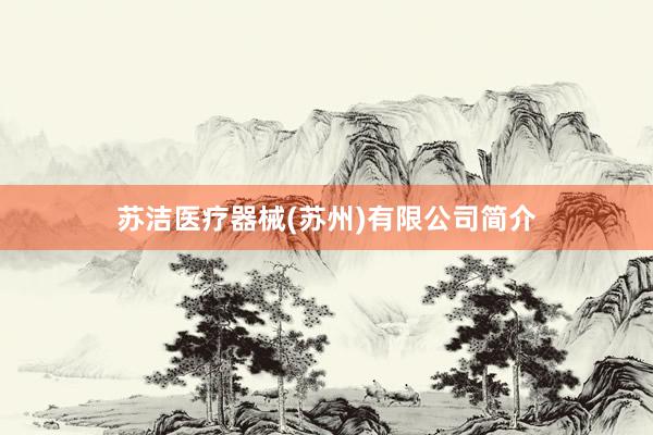 苏洁医疗器械(苏州)有限公司简介
