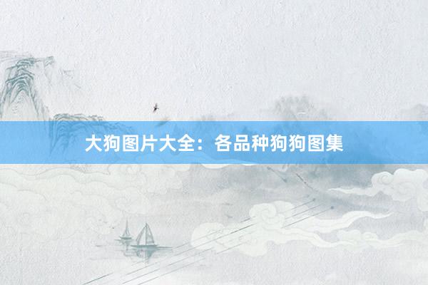 大狗图片大全：各品种狗狗图集