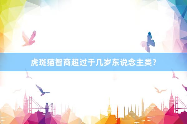 虎斑猫智商超过于几岁东说念主类？