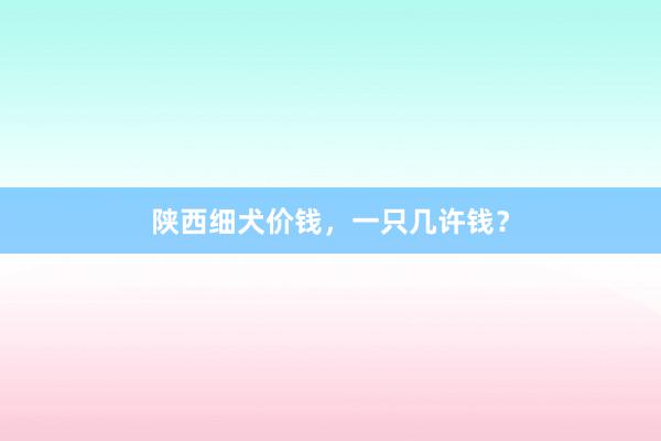 陕西细犬价钱，一只几许钱？