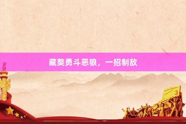 藏獒勇斗恶狼，一招制敌