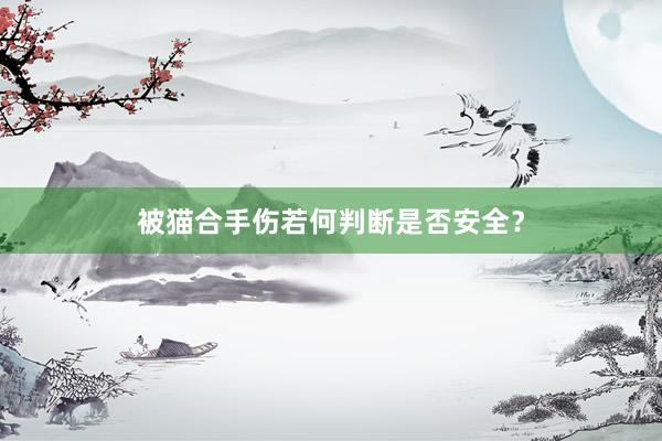 被猫合手伤若何判断是否安全？